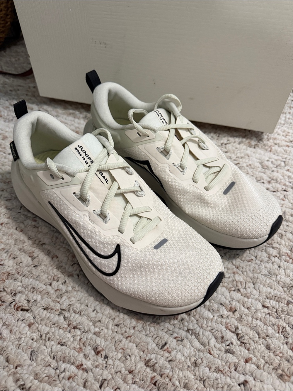 Nike Gortex Mint Running Sneakers with Black Swoosh
